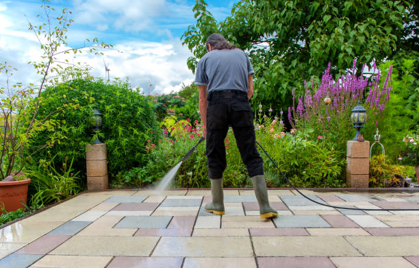 Animal Enclosure Cleaning in Englewood, CO